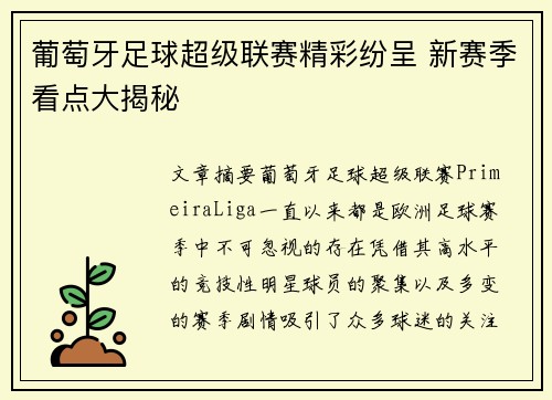 葡萄牙足球超级联赛精彩纷呈 新赛季看点大揭秘