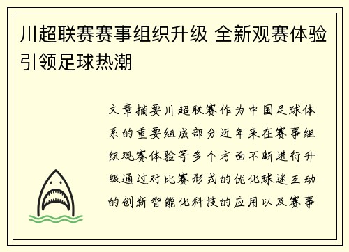 川超联赛赛事组织升级 全新观赛体验引领足球热潮